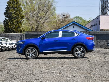 长城汽车 哈弗F7x 2019款 2.0T 极智科技版