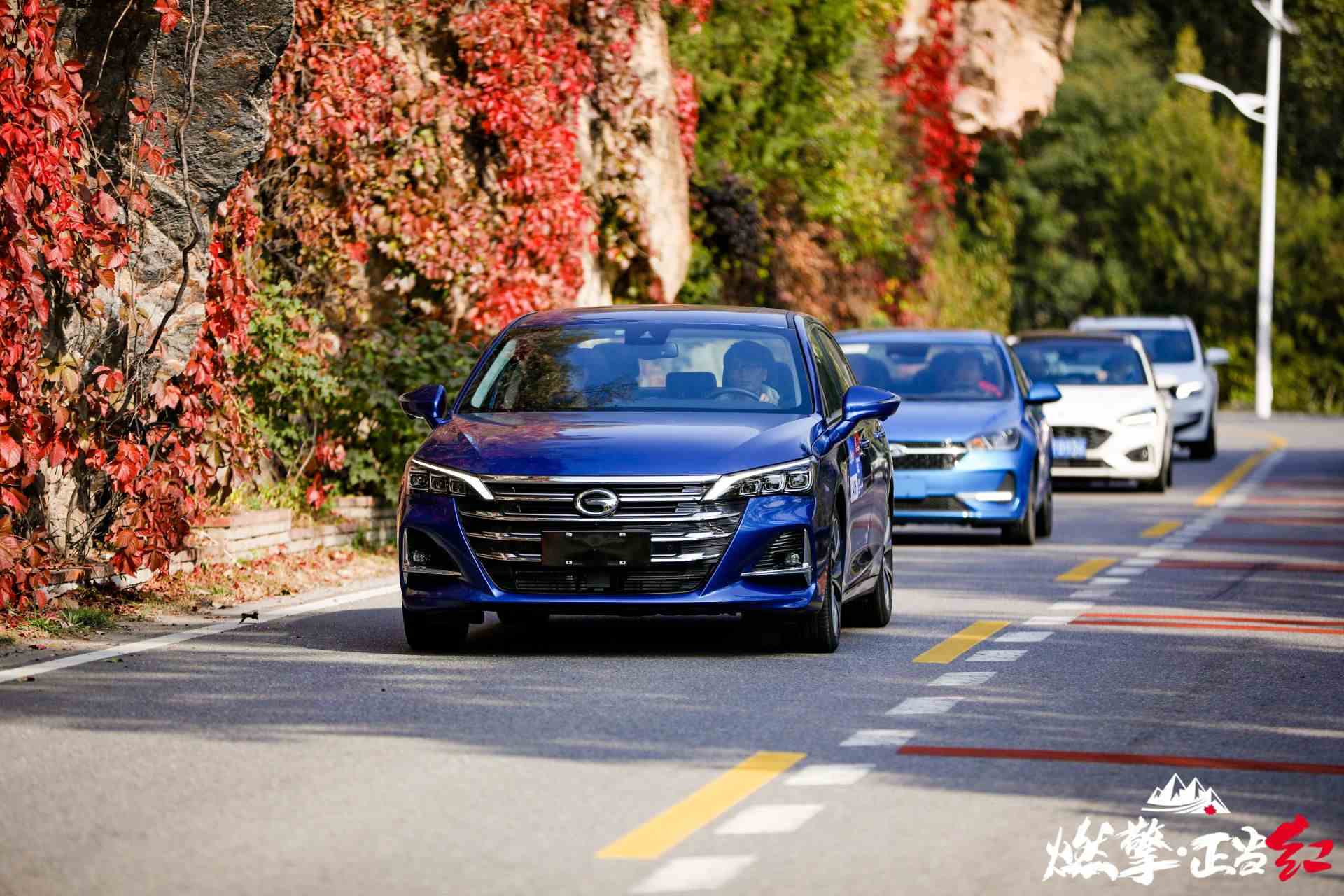 vbox7225_SX9A7023_132257_small.JPG