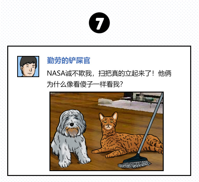 网通社汽车