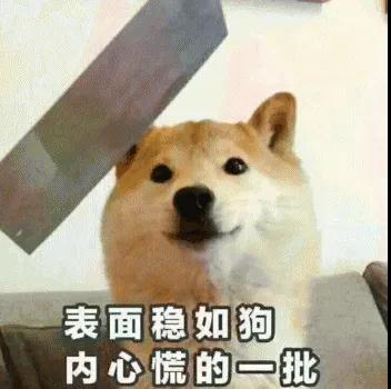 买车网
