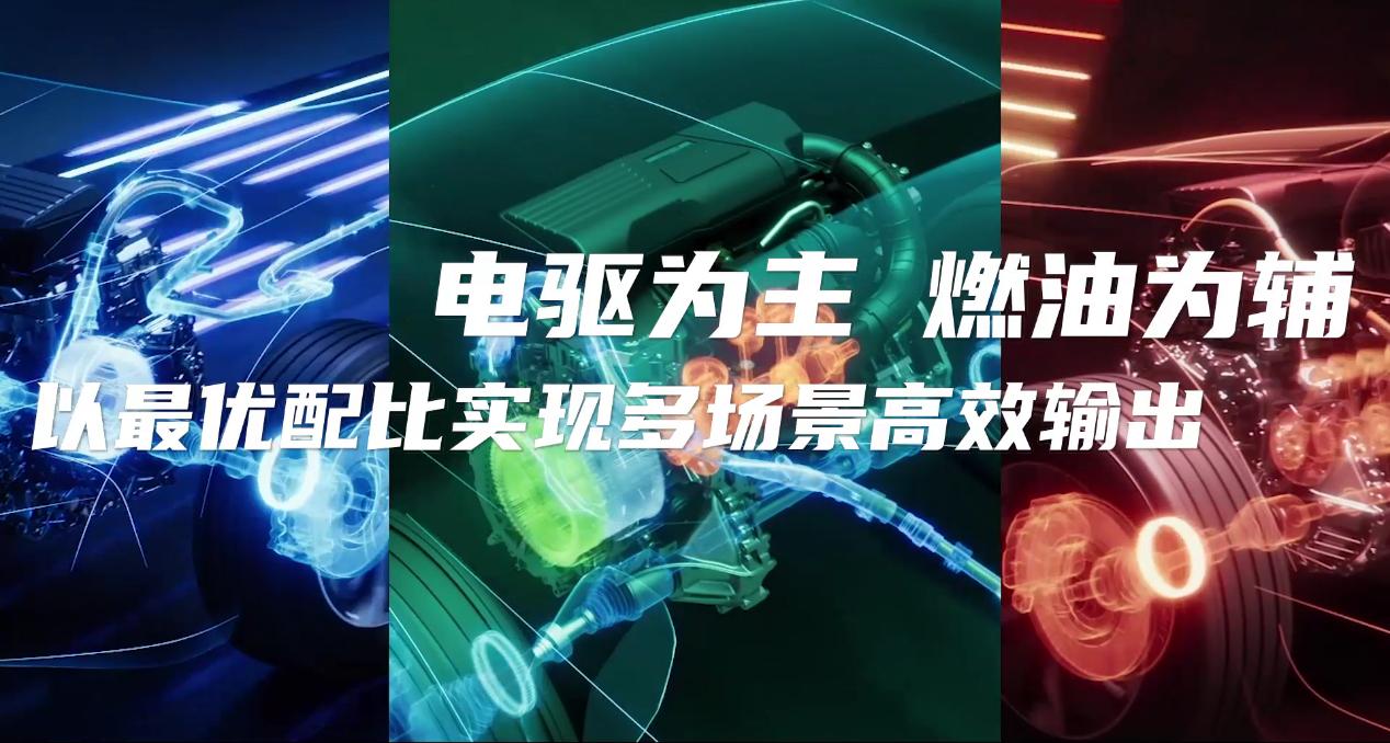 图片10.jpg