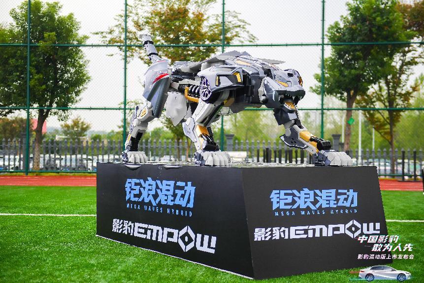 图片8.jpg