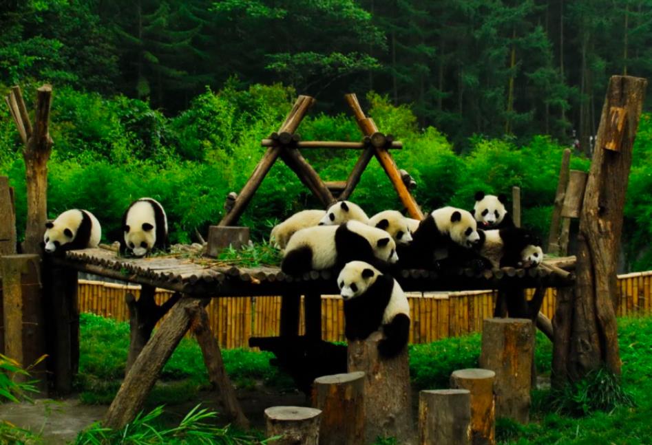 微信截图_20221230090427.jpg